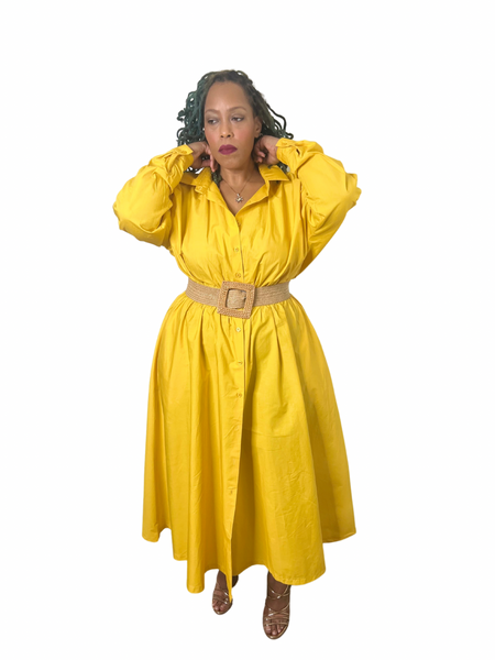 Tan Belt (Reg & Plus)